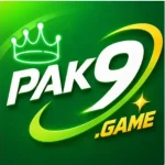 PAK9 Game