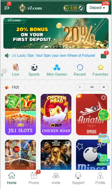 Z7 Game